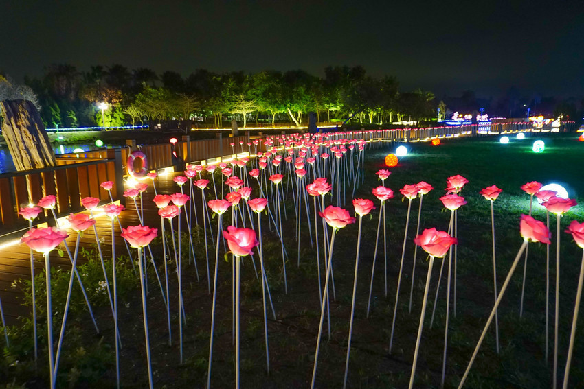 2018花在彰化溪州公園玩全攻略(彰化燈會)：一次玩透123公頃大公園,白天到晚上都好玩：漸層花海.鬱金香鋼琴.繽紛浪漫馬車,發光玫瑰,愛心倒影,超美油紙傘,2/7兩小時試燈千萬別錯過。