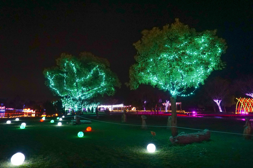 2018花在彰化溪州公園玩全攻略(彰化燈會)：一次玩透123公頃大公園,白天到晚上都好玩：漸層花海.鬱金香鋼琴.繽紛浪漫馬車,發光玫瑰,愛心倒影,超美油紙傘,2/7兩小時試燈千萬別錯過。