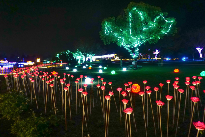 2018花在彰化溪州公園玩全攻略(彰化燈會)：一次玩透123公頃大公園,白天到晚上都好玩：漸層花海.鬱金香鋼琴.繽紛浪漫馬車,發光玫瑰,愛心倒影,超美油紙傘,2/7兩小時試燈千萬別錯過。