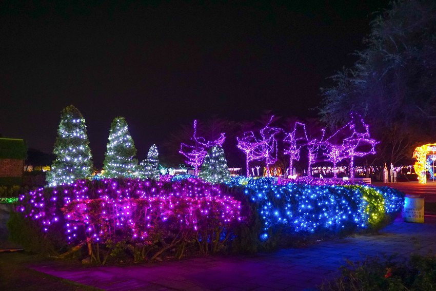 2018花在彰化溪州公園玩全攻略(彰化燈會)：一次玩透123公頃大公園,白天到晚上都好玩：漸層花海.鬱金香鋼琴.繽紛浪漫馬車,發光玫瑰,愛心倒影,超美油紙傘,2/7兩小時試燈千萬別錯過。