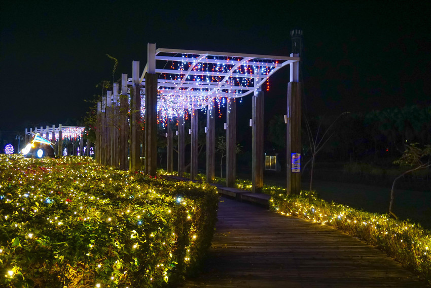 2018花在彰化溪州公園玩全攻略(彰化燈會)：一次玩透123公頃大公園,白天到晚上都好玩：漸層花海.鬱金香鋼琴.繽紛浪漫馬車,發光玫瑰,愛心倒影,超美油紙傘,2/7兩小時試燈千萬別錯過。