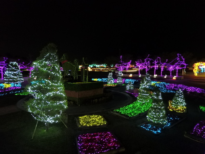 2018花在彰化溪州公園玩全攻略(彰化燈會)：一次玩透123公頃大公園,白天到晚上都好玩：漸層花海.鬱金香鋼琴.繽紛浪漫馬車,發光玫瑰,愛心倒影,超美油紙傘,2/7兩小時試燈千萬別錯過。