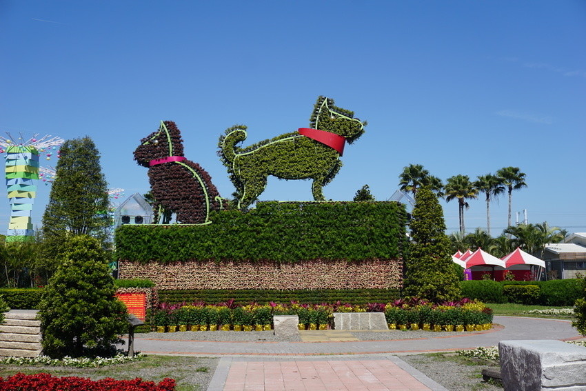 2018花在彰化溪州公園玩全攻略(彰化燈會)：一次玩透123公頃大公園,白天到晚上都好玩：漸層花海.鬱金香鋼琴.繽紛浪漫馬車,發光玫瑰,愛心倒影,超美油紙傘,2/7兩小時試燈千萬別錯過。