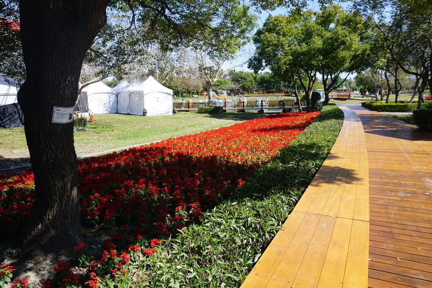 2018花在彰化溪州公園玩全攻略(彰化燈會)：一次玩透123公頃大公園,白天到晚上都好玩：漸層花海.鬱金香鋼琴.繽紛浪漫馬車,發光玫瑰,愛心倒影,超美油紙傘,2/7兩小時試燈千萬別錯過。