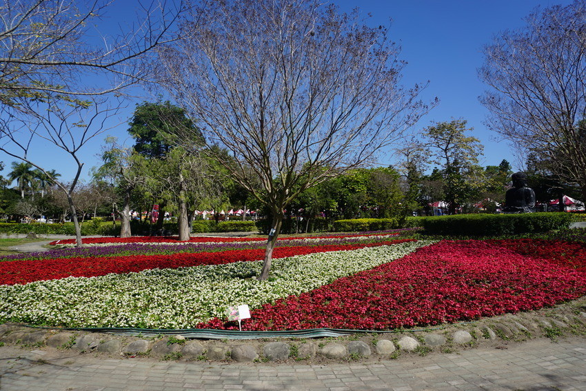 2018花在彰化溪州公園玩全攻略(彰化燈會)：一次玩透123公頃大公園,白天到晚上都好玩：漸層花海.鬱金香鋼琴.繽紛浪漫馬車,發光玫瑰,愛心倒影,超美油紙傘,2/7兩小時試燈千萬別錯過。