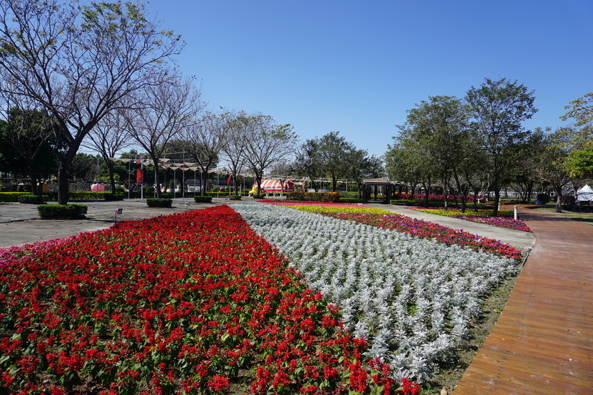 2018花在彰化溪州公園玩全攻略(彰化燈會)：一次玩透123公頃大公園,白天到晚上都好玩：漸層花海.鬱金香鋼琴.繽紛浪漫馬車,發光玫瑰,愛心倒影,超美油紙傘,2/7兩小時試燈千萬別錯過。