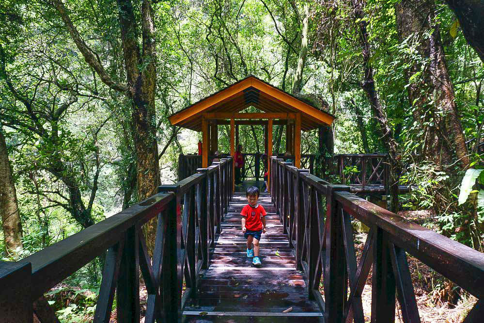 新竹景點》青蛙石天空步道～涼爽消暑景點:輕鬆版森林步道,玻璃彩虹步道,瀑布峽谷景觀