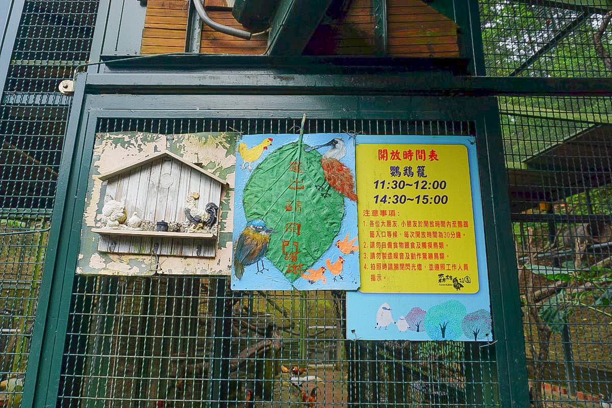 新竹親子景點》森林鳥花園：餵大嘴鳥、森林玻璃屋、超長彩虹溜滑梯、木屋溜滑梯、沙堆、戲水池、室內遊戲室、小火車，超級放電好玩