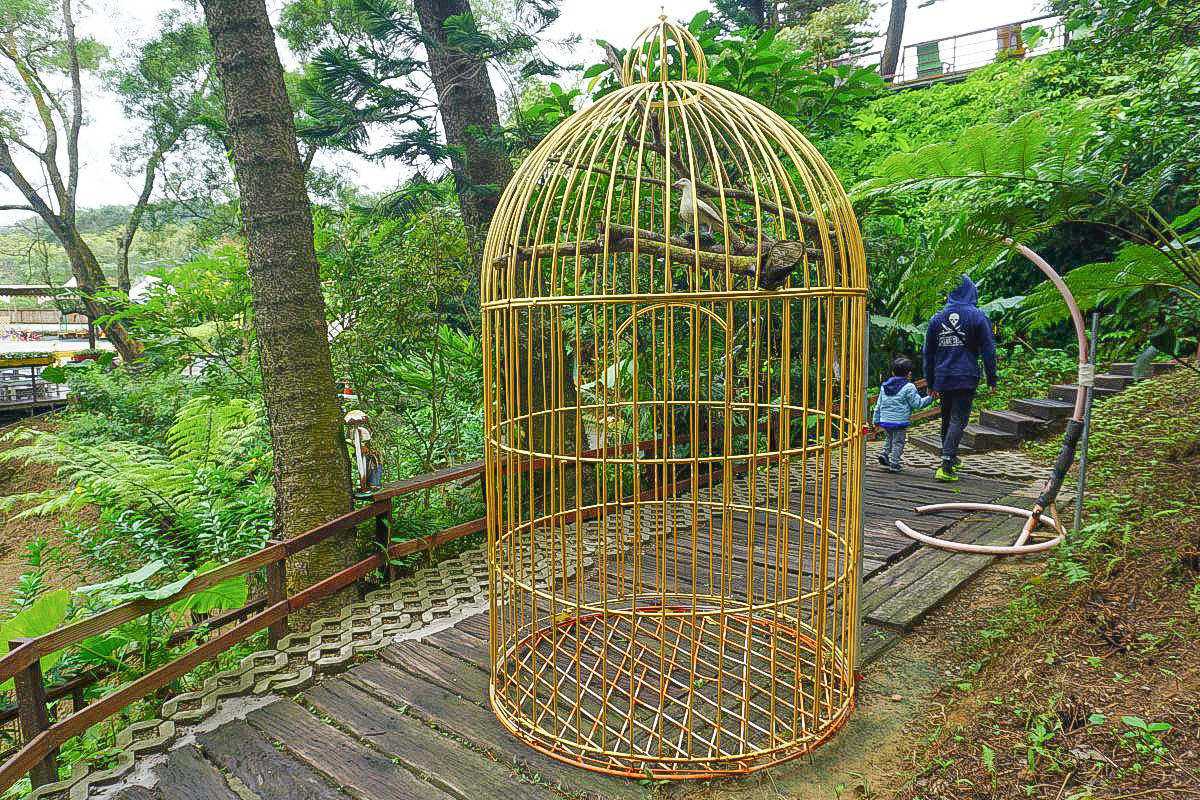 新竹親子景點》森林鳥花園：餵大嘴鳥、森林玻璃屋、超長彩虹溜滑梯、木屋溜滑梯、沙堆、戲水池、室內遊戲室、小火車，超級放電好玩