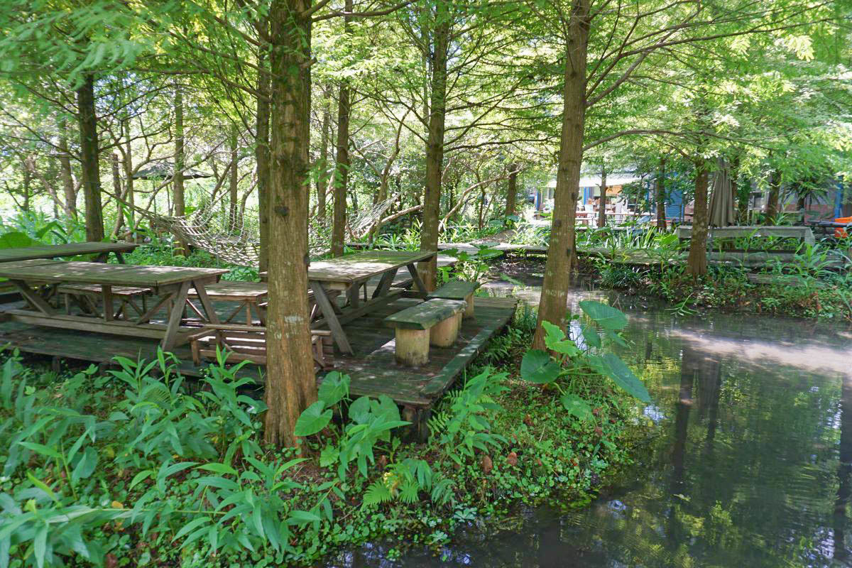 宜蘭景點》花泉有機休閒農場：森林倒影，黃色水車，水上棧道，冰涼泉水池，浪漫水上鞦韆滿滿仙氣！
