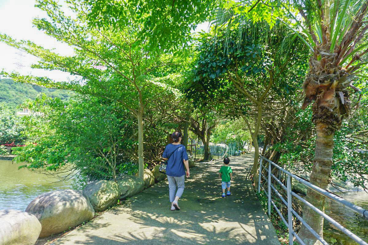 新北景點》林口台灣山豬城，隱身山區的台菜館，每天都客滿，吃完還可逛小動物園！