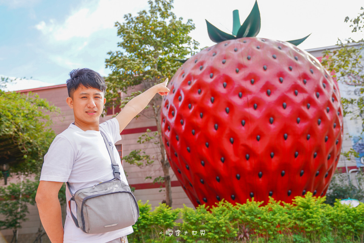 苗栗》免門票的草莓王國！大湖酒莊-草莓文化館，超好拍的滿滿草莓：三層樓草莓巨大地標、等人高草莓、草莓伴手禮應有盡有！