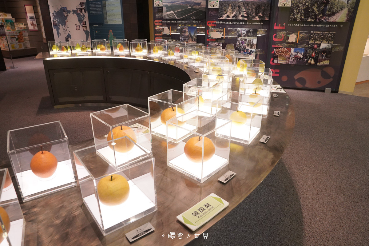 日本鳥取親子景點》鳥取二十世紀梨紀念館、適合親子同樂的水梨兒童博物館、免費試吃、無料特色公園