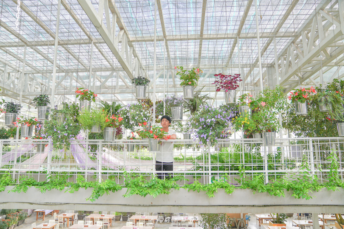 宜蘭室內景點》香草菲菲-芳香植物博物館:1500坪室內花園,白色天空步道,吃到飽buffet