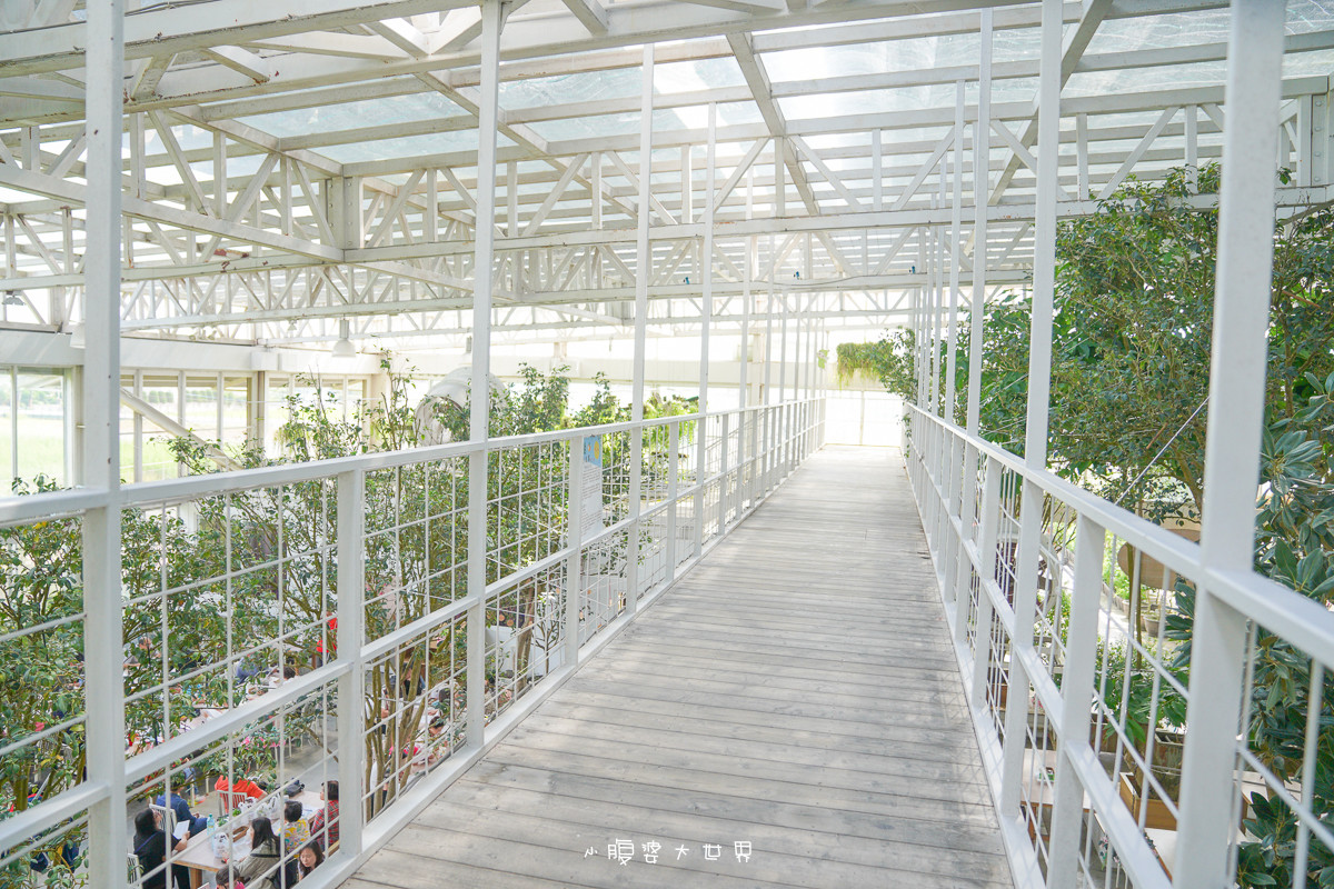 宜蘭室內景點》香草菲菲-芳香植物博物館:1500坪室內花園,白色天空步道,吃到飽buffet