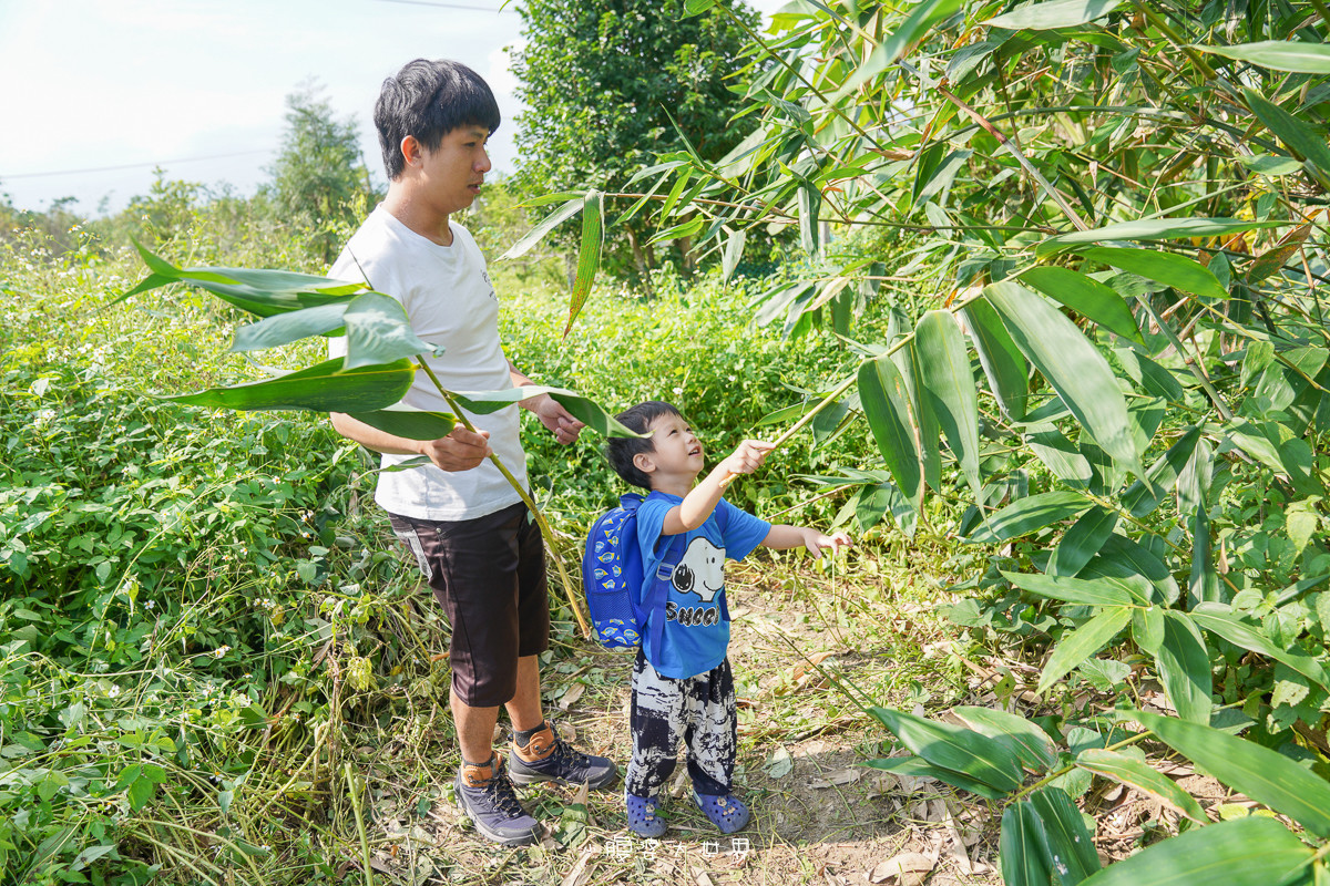 宜蘭景點》張媽媽有機竹筍園（預約制）：一日小小農夫～採地瓜葉、竹筍葉、洗菜揀菜通通自己來，小朋友單車、盪鞦韆可以玩哦！
