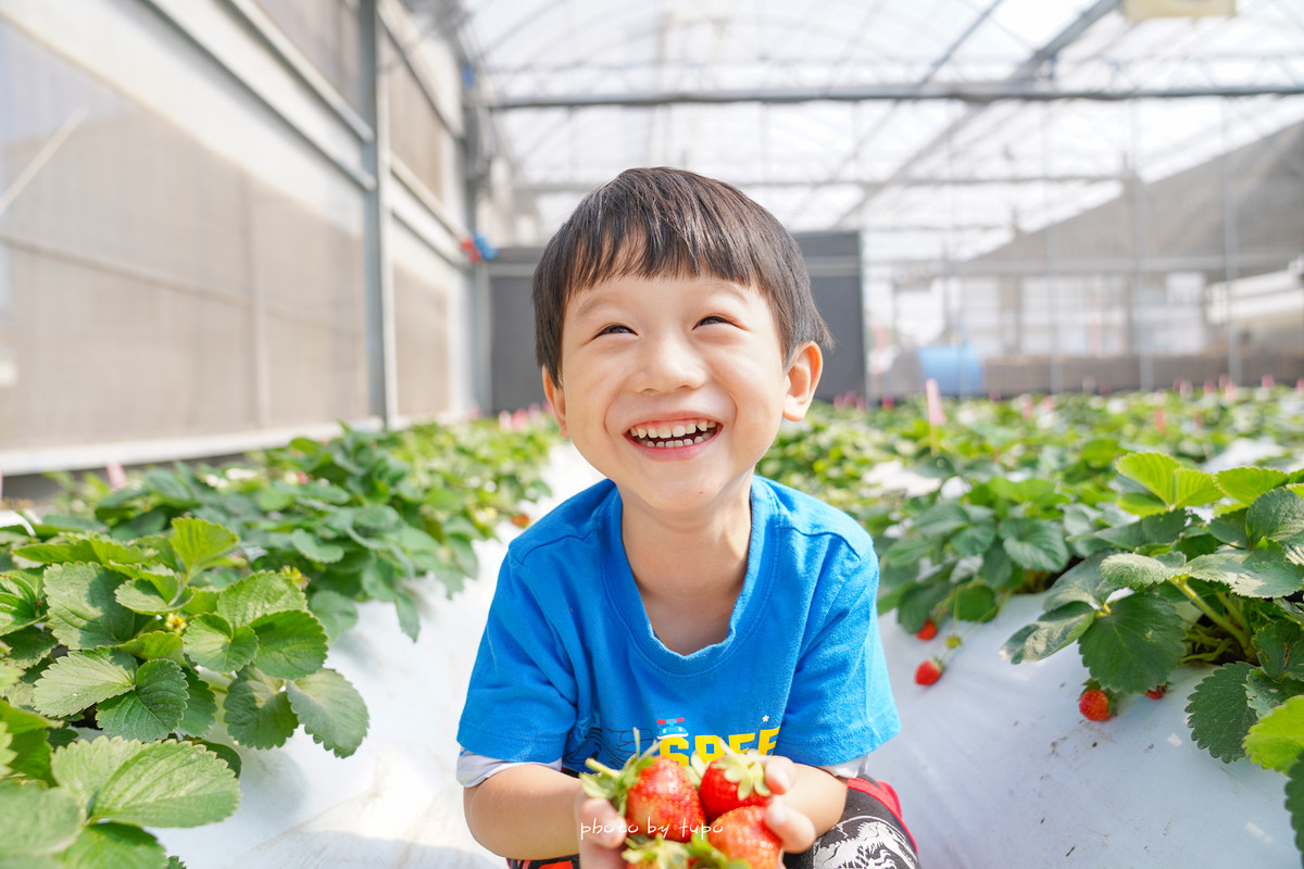 彰化新親子景點》樂採果溫室觀光農場，免門票免預約，控窯草莓DIY，愛心盪鞦韆、彩虹溜滑梯、積木，一日雙果採草莓草番茄去～