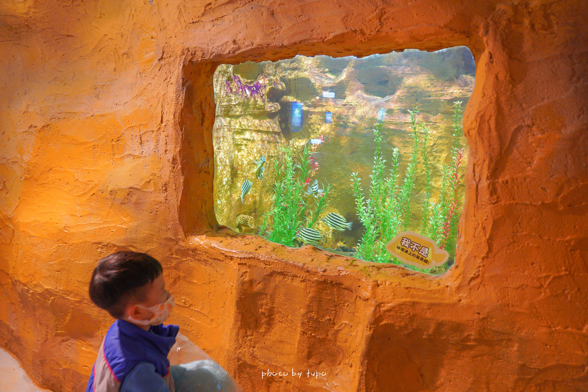 北海岸親子景點》野柳水族館一日遊！ 海豚親親、海洋劇場、海底隧道探險、生態池摸摸海星去