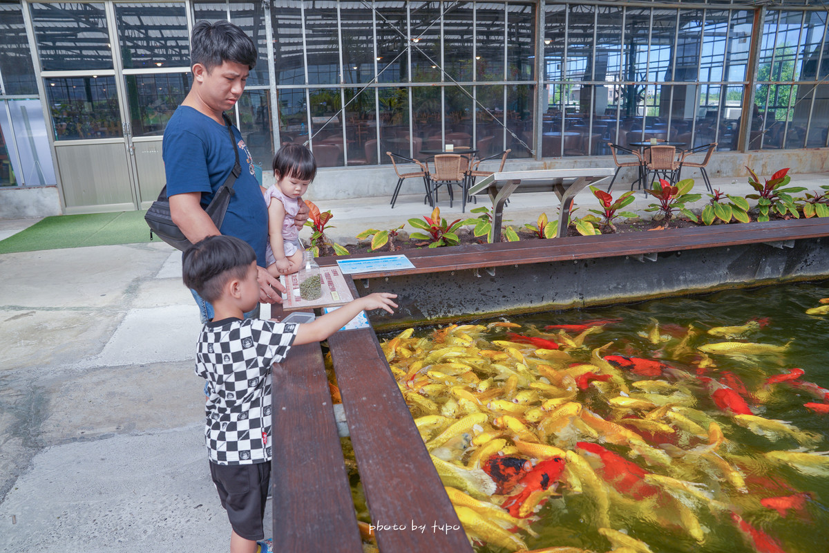 宜蘭新玩法 ： 金車礁溪蘭花園 餵魟魚好好玩！(要簽危險聲明)、仙人掌沙洲、室內遊戲區，門票可折抵好拍又好玩～