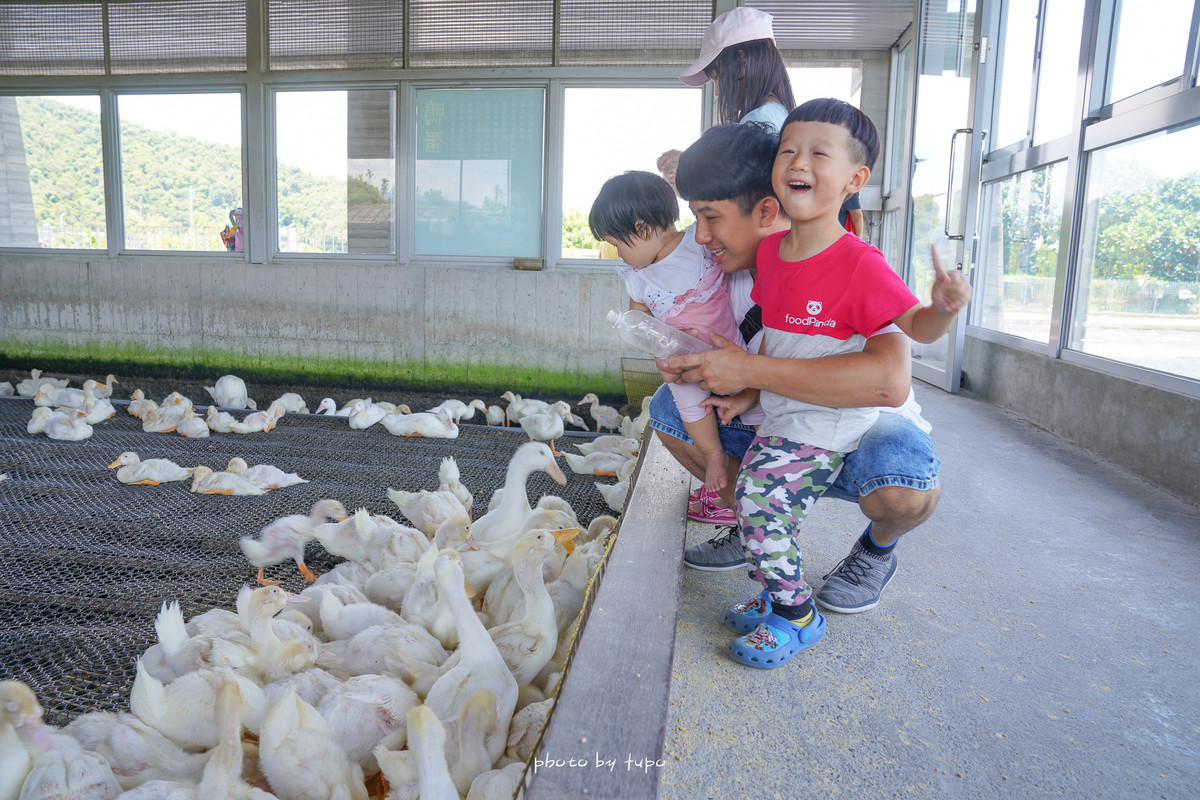 宜蘭礁溪景點》甲鳥園，複合式鴨鴨農場，可以抱抱小鴨還可有山泉水可以玩