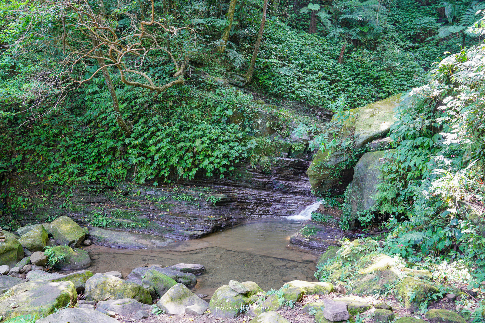 汐止景點》茄苳瀑布：低難度一分鐘抵達森林玩水景點，三層瀑布秘境，水質清澈見底～