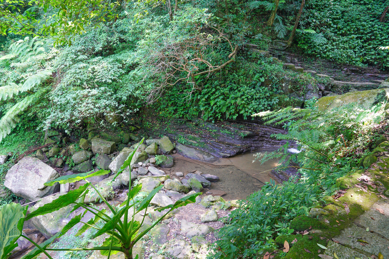 汐止景點》茄苳瀑布：低難度一分鐘抵達森林玩水景點，三層瀑布秘境，水質清澈見底～