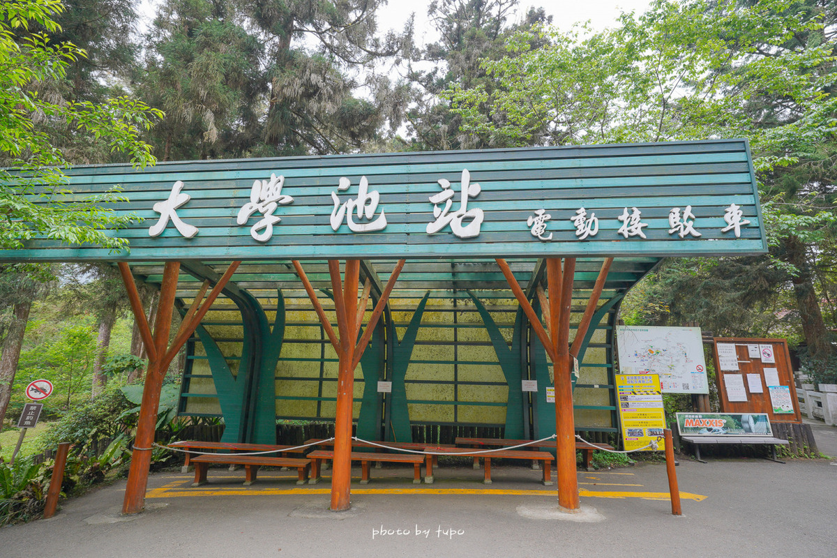 溪頭森林遊樂區(溪頭自然教育園區)| 滿滿仙氣森林園區!森林野餐區.音樂城堡.空中走廊.神木林發呆去~