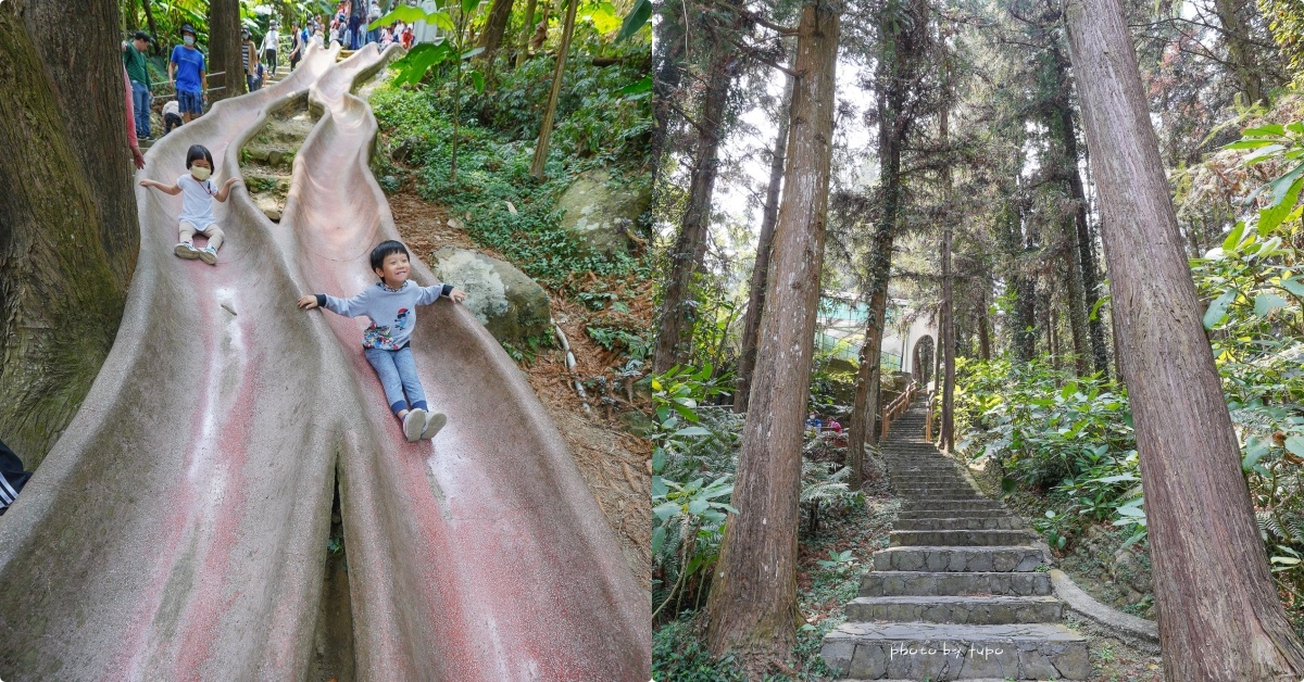 延伸閱讀：南投鹿谷景點》鳳凰谷鳥園生態園區，銅板價門票，好好玩森林溜滑梯半日遊