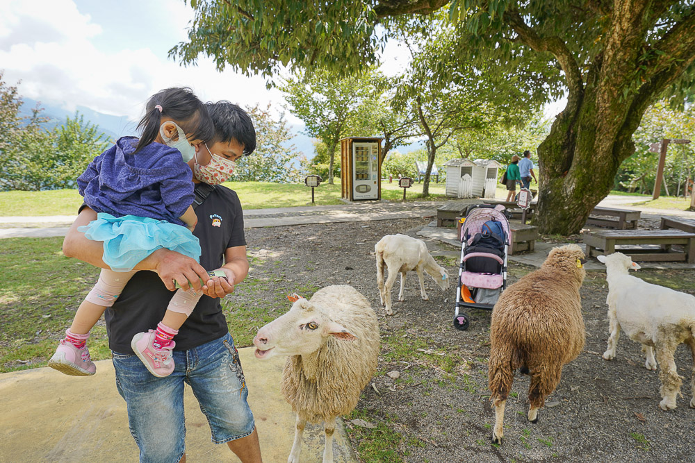 清境農場一日遊》清境農場怎麼玩？不只是餵羊咩咩，最新景點幸福秘境、青青草原、綿羊秀、馬術秀場