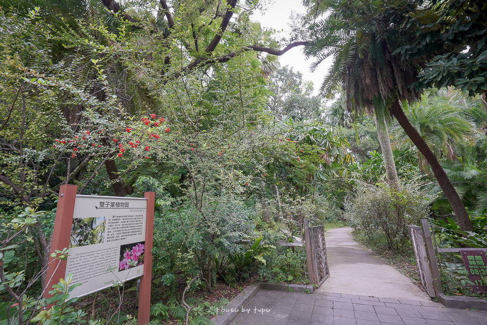 台北免門票景點》台北植物園好玩嗎? 超美荷花池，三個古蹟場館免費逛，衙門、日式庭院超好拍