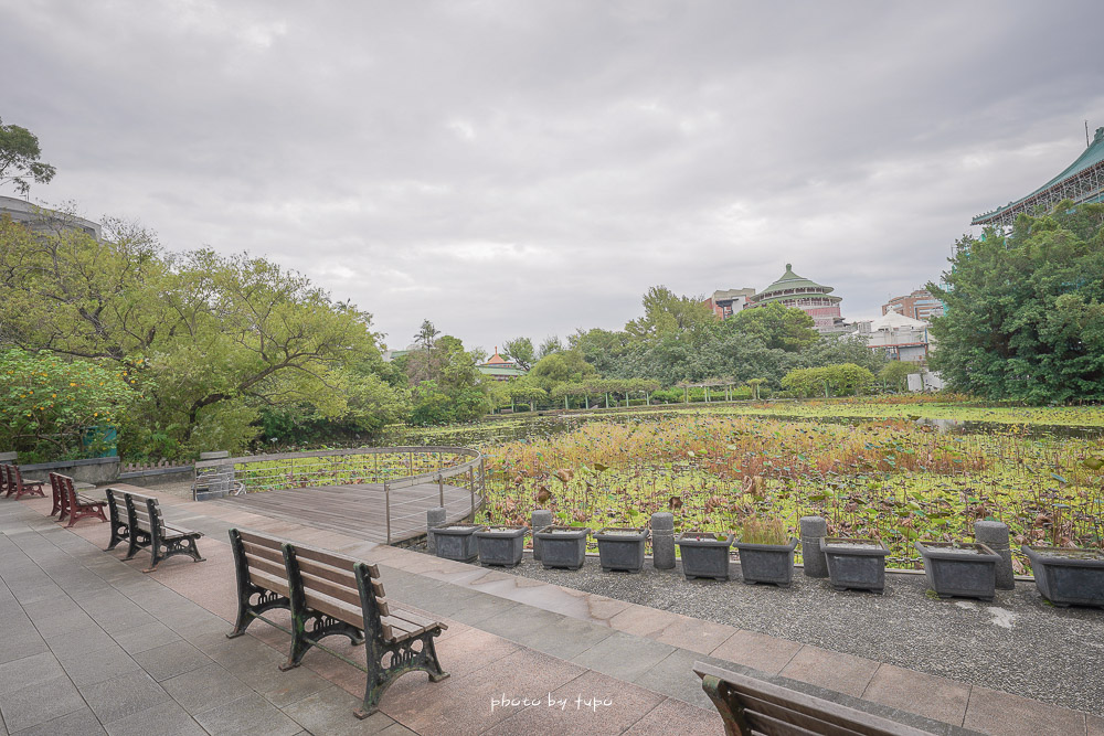 台北免門票景點》台北植物園好玩嗎? 超美荷花池，三個古蹟場館免費逛，衙門、日式庭院超好拍