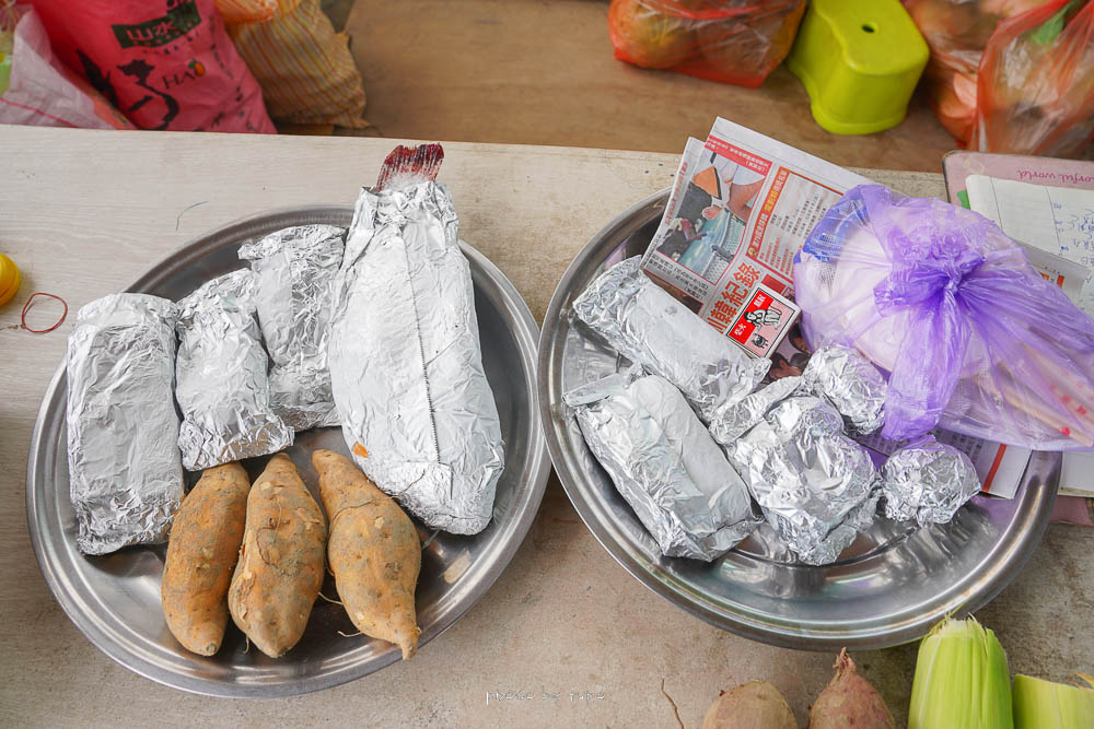 彰化景點》樂採果溫室農場開園囉，超好玩的農場樂園，採草莓控窯釣魚，城堡溜滑梯，DIY，玩到不想回家！