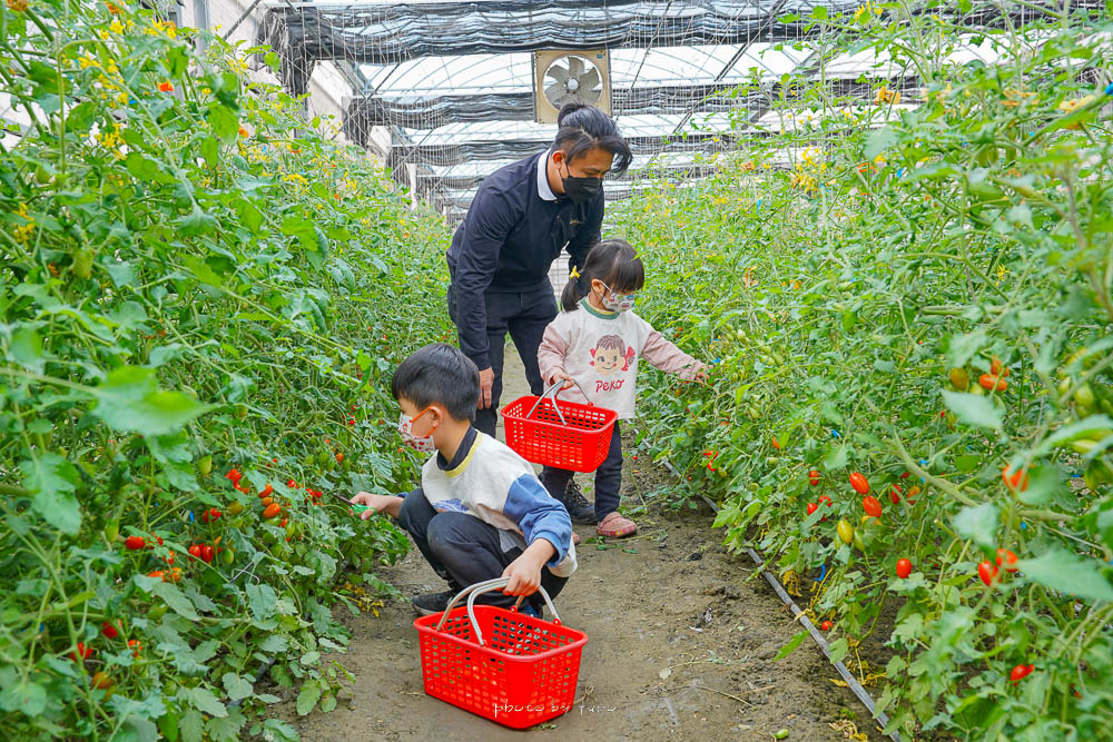 彰化景點》樂採果溫室農場開園囉，超好玩的農場樂園，採草莓控窯釣魚，城堡溜滑梯，DIY，玩到不想回家！