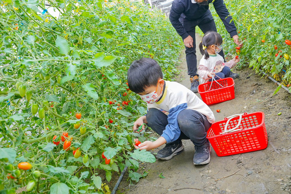 彰化景點》樂採果溫室農場開園囉，超好玩的農場樂園，採草莓控窯釣魚，城堡溜滑梯，DIY，玩到不想回家！