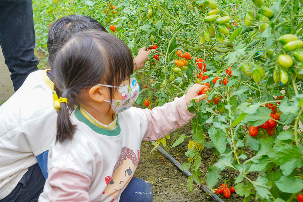 彰化景點》樂採果溫室農場開園囉，超好玩的農場樂園，採草莓控窯釣魚，城堡溜滑梯，DIY，玩到不想回家！