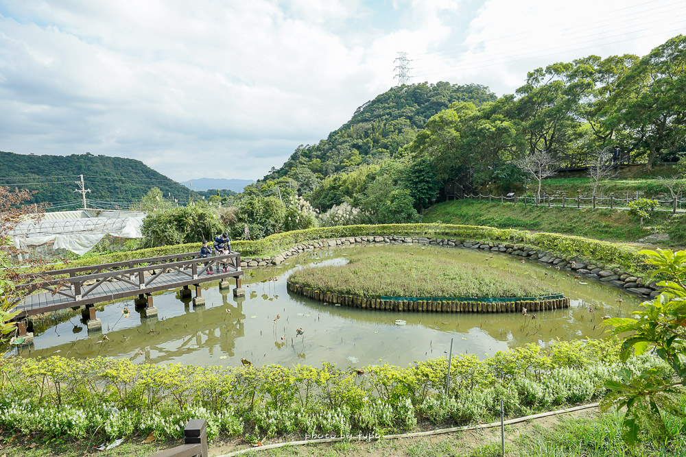 台北內湖景點》白石湖同心池，雙心造型生態後湖濕地湧泉、池畔涼亭，小巧的順遊景點。