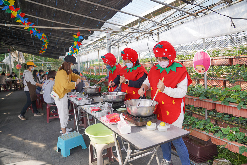 台北景點》內湖草莓園-碧山路49號，開放就秒殺的小小草莓達人DIY，採草莓好好玩！