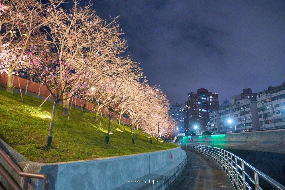 台北櫻花》開花囉！2022內湖樂活夜櫻季，東湖樂活公園櫻花林最新花況，搭捷運就可以漫遊櫻花大道。
