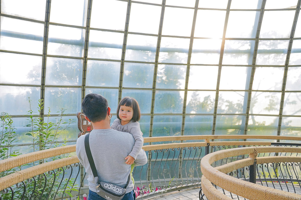 嘉義親子景點》新嘉大昆蟲館，巨人國的昆蟲、球狀溫室蝴蝶花園、全台唯一的旋轉彩蝶柱