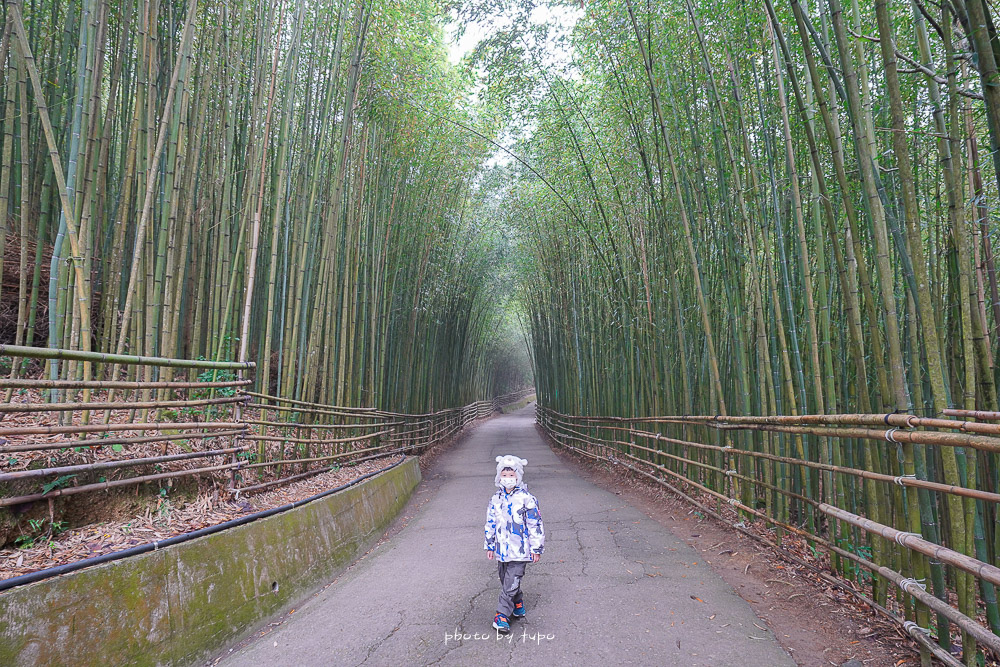 苗栗泰安》烏嘎彥竹林，台版京都嵐山竹林隧道仿如仙境，有免費停車場