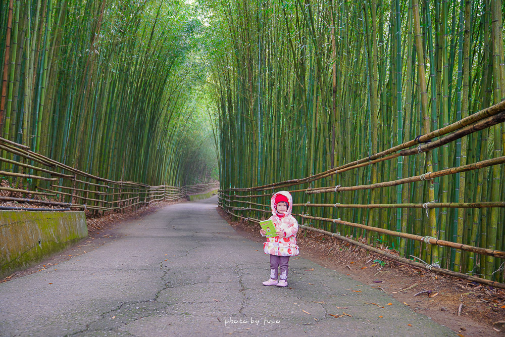 苗栗泰安》烏嘎彥竹林，台版京都嵐山竹林隧道仿如仙境，有免費停車場