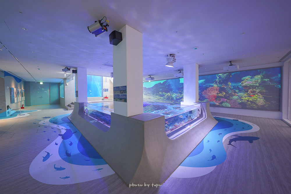 基隆新景點》潮境智能海洋館，互動沉浸式體驗館，必逛五大展區，周邊美食玩樂地圖總整理