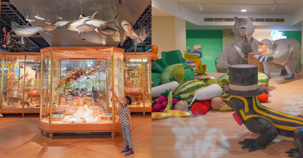 台北景點》台灣博物館，超好玩的台博館，30元就可以逛四層樓，親子樓層小朋友玩到不回家