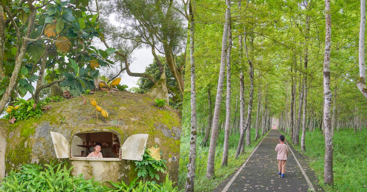 花蓮景點》大農大富平地森林園區，台灣首座平面森林，可以騎車逛龍貓森林步道、螞蟻樹屋 @小腹婆大世界