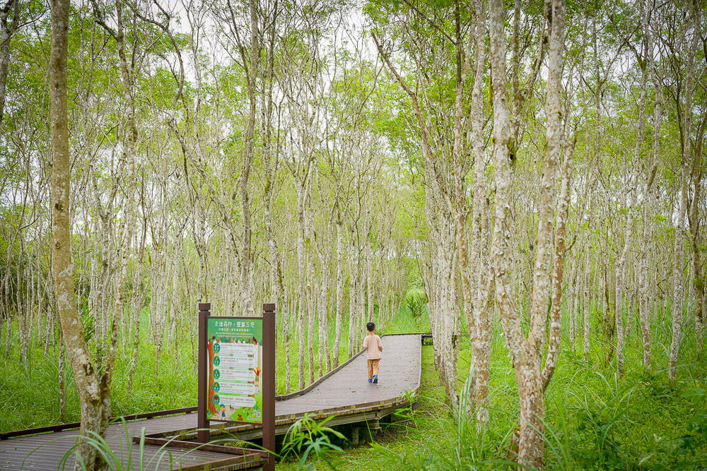 花蓮景點》大農大富平地森林園區，台灣首座平面森林，可以騎車逛龍貓森林步道、螞蟻樹屋