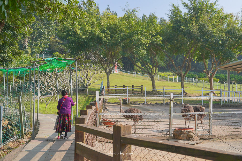 嘉義景點》獨角仙農場，無敵景觀餐廳，有可愛梅花鹿小白兔動物區，還可以玩溜滑梯和沙坑！
