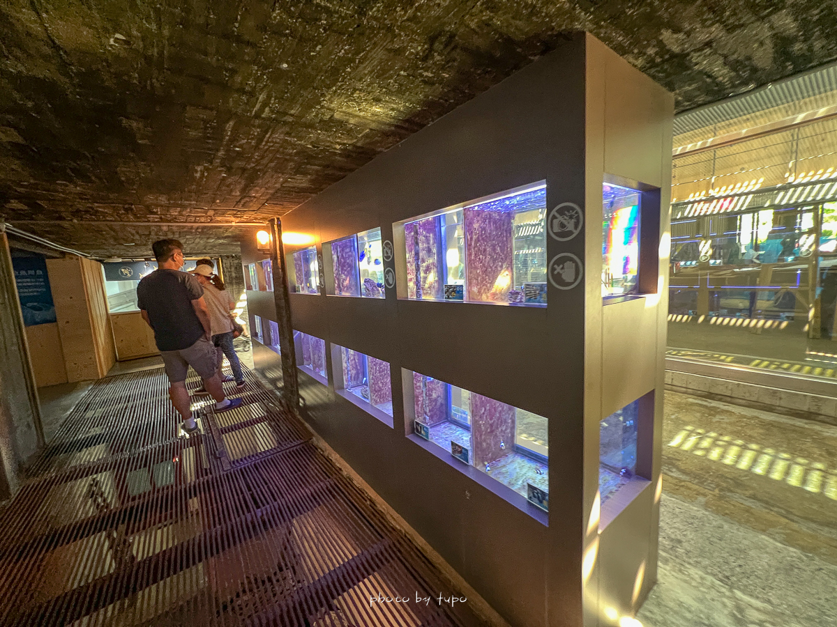 花蓮新城景點》七星柴魚博物館，全台灣唯一柴魚博物館免費逛、柴魚DIY好吃又好玩
