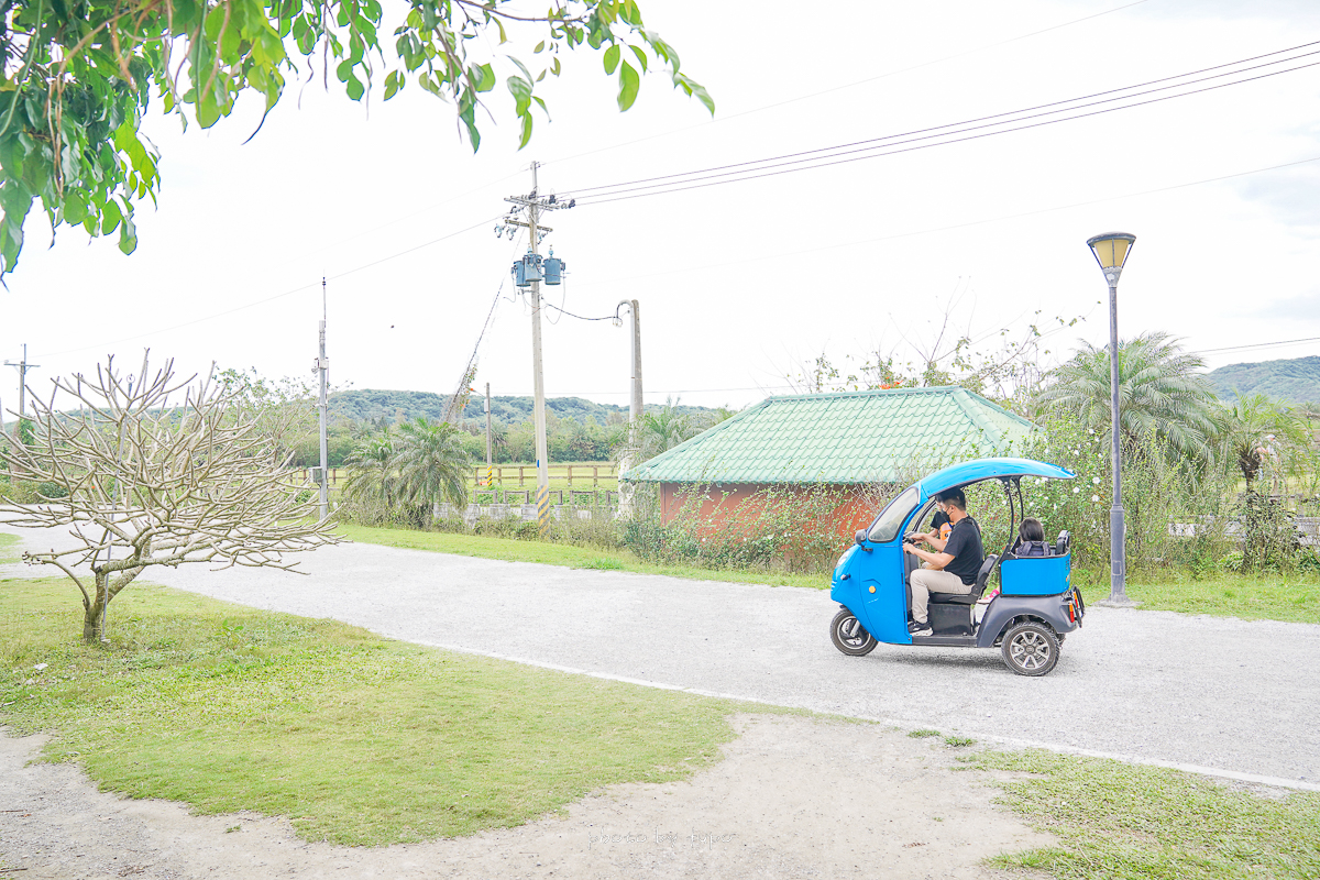 花蓮景點》台開心農場，佔地廣闊的親子小動物園，還可以騎電動車逛海線