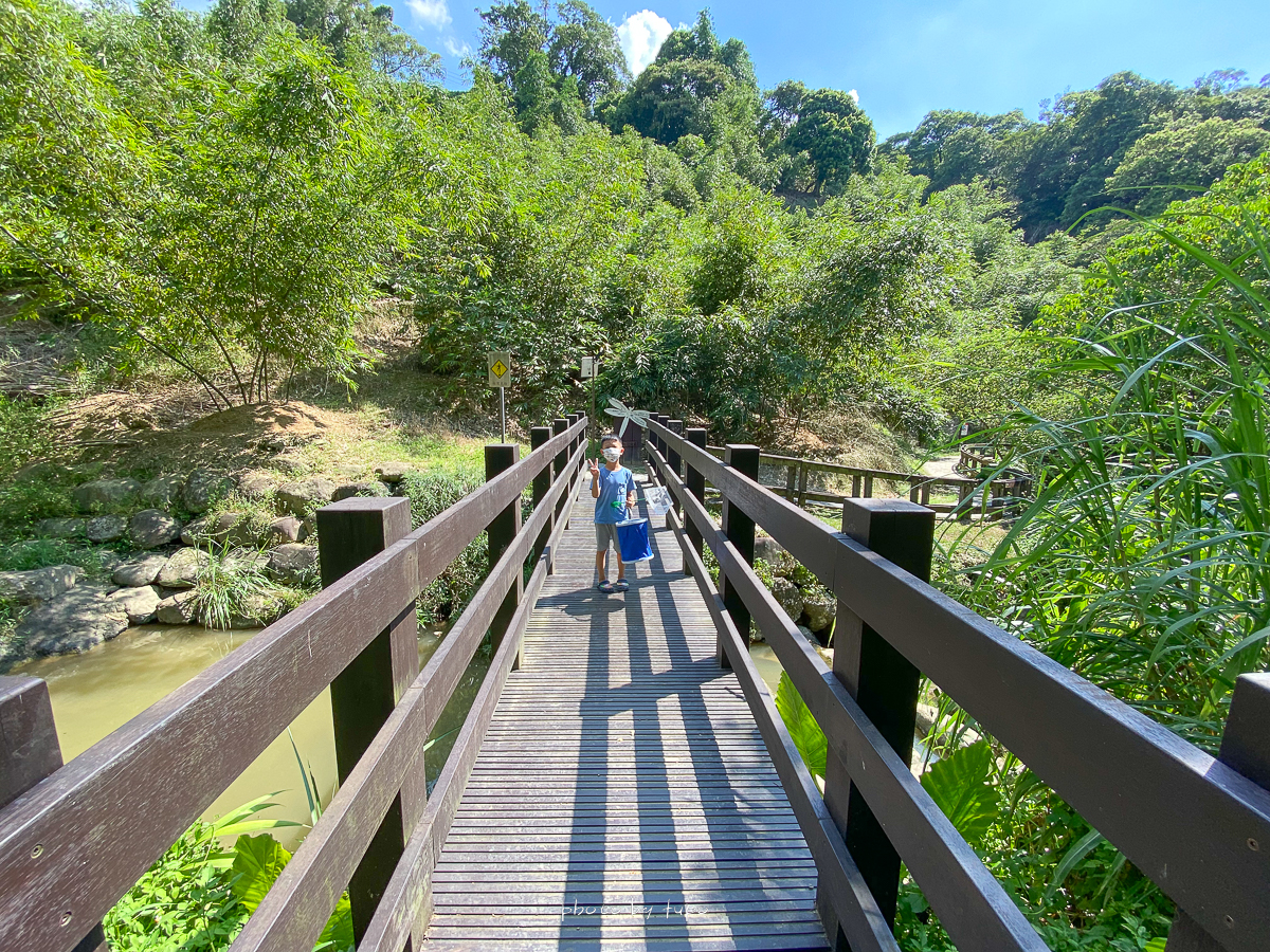 台北景點》小坑溪文學步道，免爬山親水玩水秘境，森林步道