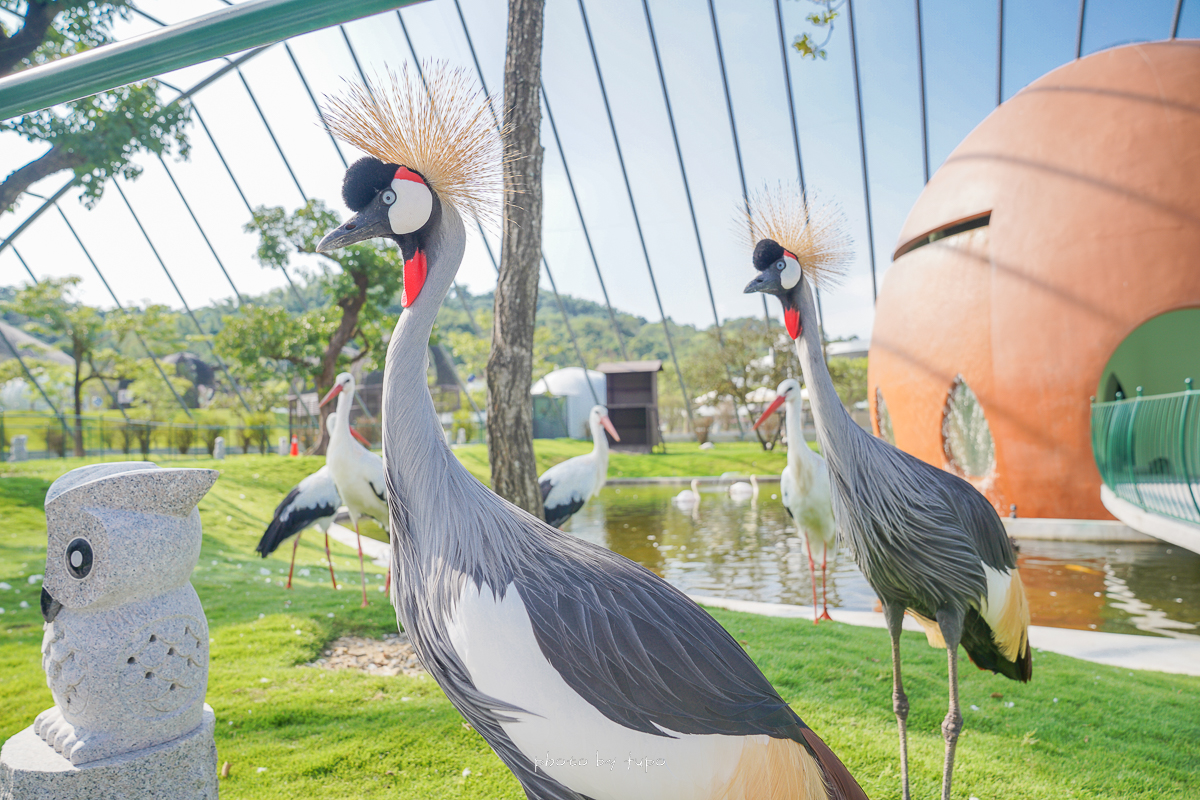 南投新景點》草屯九九峰動物樂園，亞洲最大鳥類主題動物園、恐龍侏羅紀公園